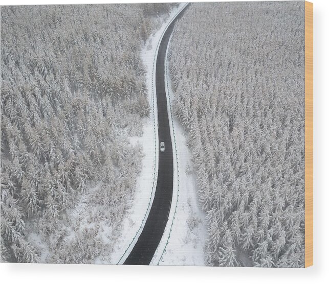 Outdoors Wood Print featuring the photograph Road through the wintery forest by Xuanyu Han
