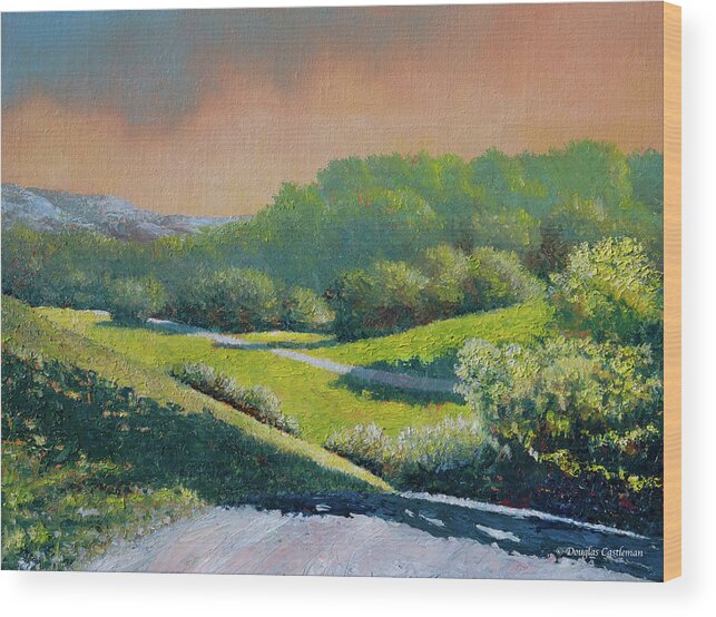 Landscape Wood Print featuring the painting Santa Ynez Spring Morning by Douglas Castleman