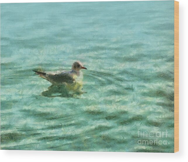 Seagull Wood Print featuring the painting Seagull by Alexa Szlavics