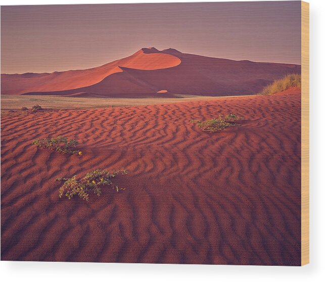Sossusvlei Wood Print featuring the photograph Sossusvlei at Dawn by Peter Boehringer