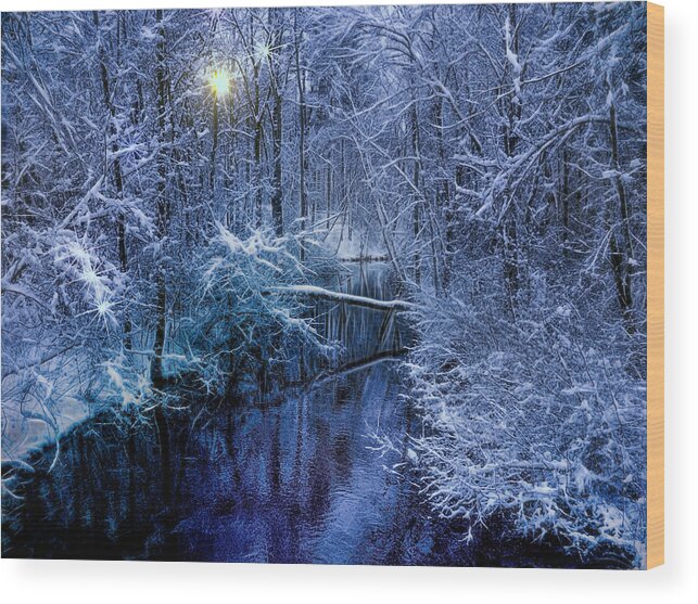Winter Wood Print featuring the photograph Sparkling snow at dusk by Cordia Murphy