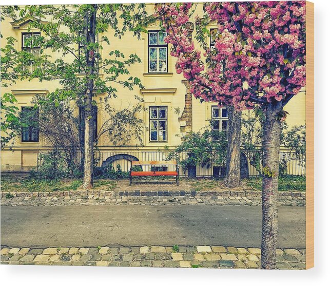 Blossom Wood Print featuring the photograph Spring-time in Budapest by Tito Slack