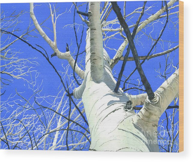 Watercolor Aspen In Winter Wood Print featuring the painting Standing Ovation-New by Barbara Jewell