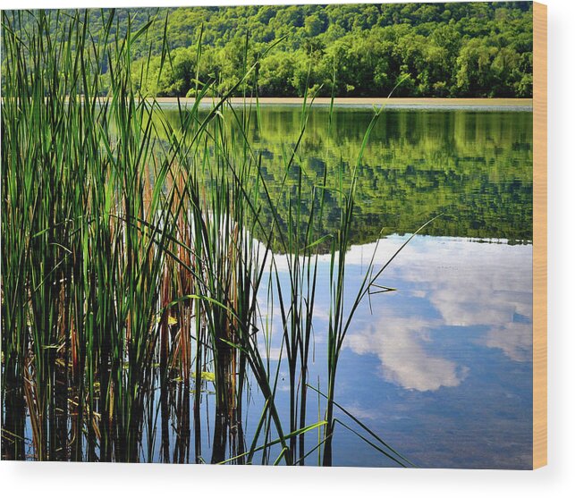 Cloud Reflections Wood Print featuring the photograph Still Waters by Susie Loechler