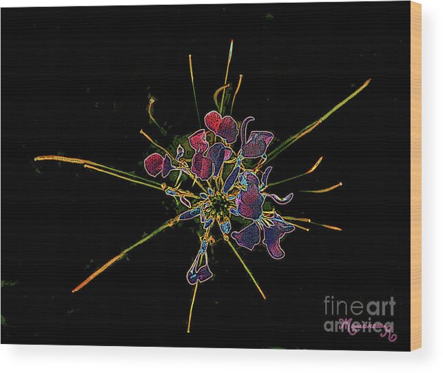 Digital Wood Print featuring the digital art Stylized Cleome by Mariarosa Rockefeller