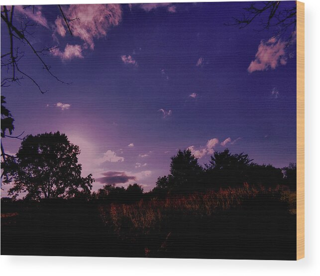 Sundown Wood Print featuring the photograph Sundown in the Field by Christopher Reed