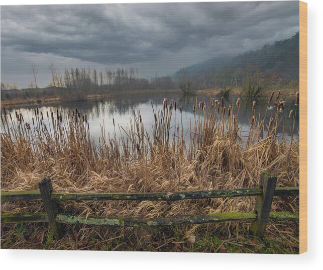 Pond Wood Print featuring the photograph The Pond by Jerry Cahill