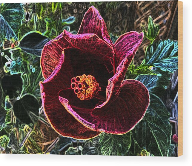 Tulip Wood Print featuring the photograph The reddish flower by Steven Wills