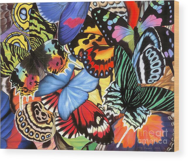 Butterflies Wood Print featuring the painting Tropical Wings by Lucy Arnold