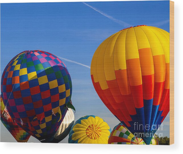 Hot Air Balloons Wood Print featuring the photograph Up Up and Away Florida Hot Air Ballon Festival by L Bosco
