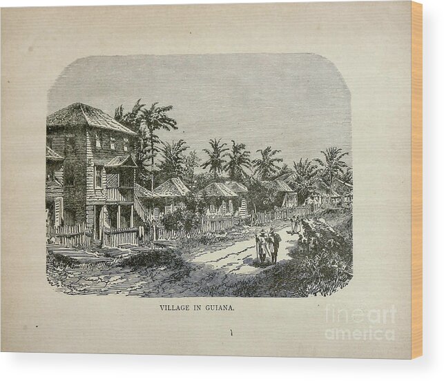 Village Wood Print featuring the photograph Village in Guiana b1 by Historic illustrations
