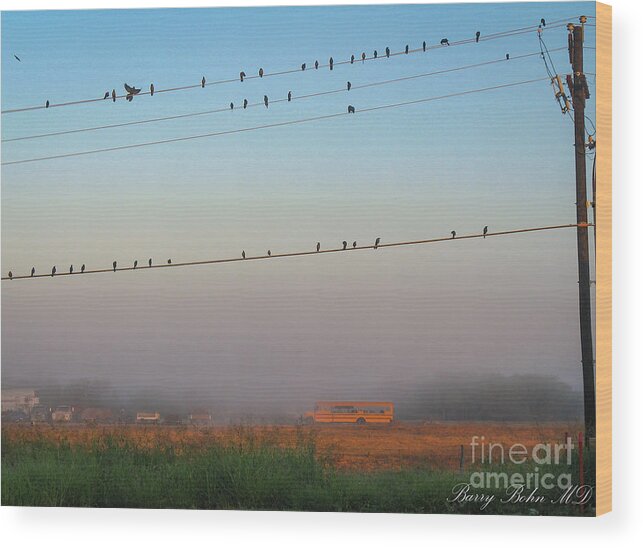 Schoolbus Wood Print featuring the photograph Waiting for the schoolbus by Barry Bohn