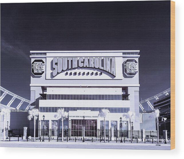 2016 Wood Print featuring the photograph Williams - Brice Stadium #13 by Charles Hite