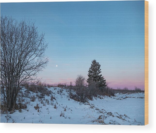 Dawn Wood Print featuring the photograph Winter Dawn With Moon by Phil And Karen Rispin