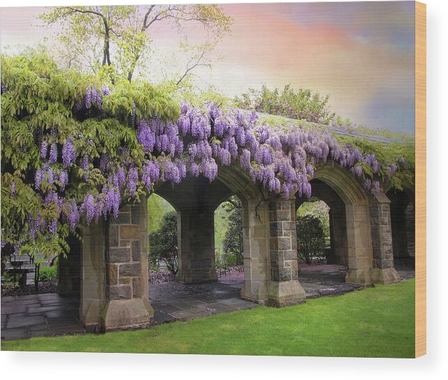 Wisteria Wood Print featuring the photograph Wisteria in May by Jessica Jenney