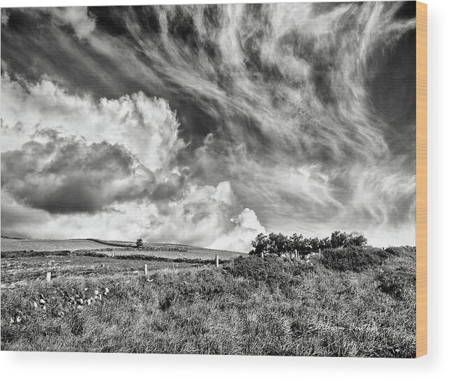 Europe Wood Print featuring the photograph Written in the Wind by William Beuther