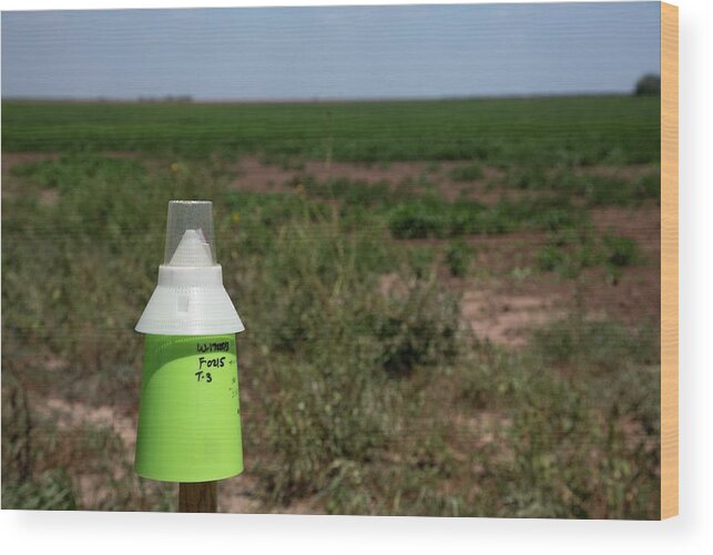 Equipment Wood Print featuring the photograph Boll Weevil Trap #1 by Jim West