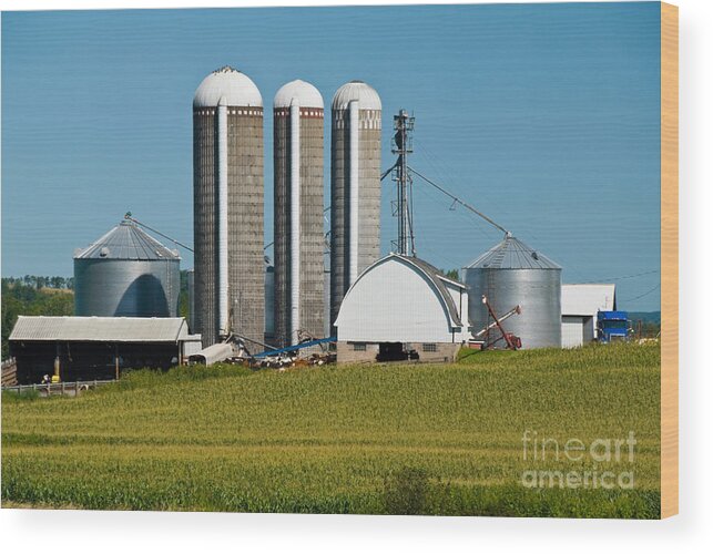 Agriculture Wood Print featuring the photograph Farm With Silos #1 by Richard and Ellen Thane