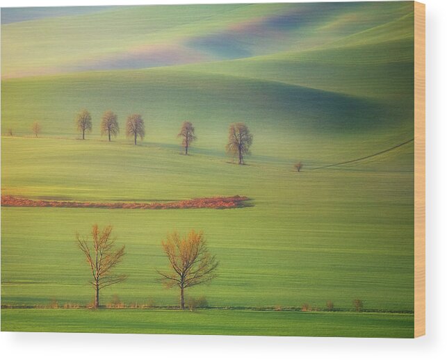 Fields Wood Print featuring the photograph Fields #1 by Krzysztof Browko