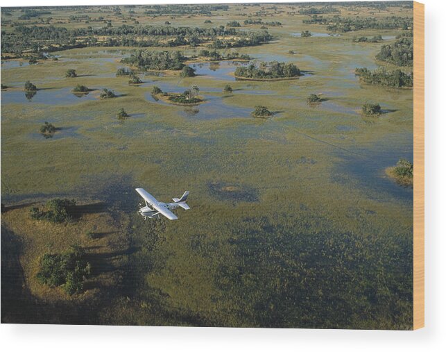 Feb0514 Wood Print featuring the photograph Flight Safari Okavango Delta Botswana #1 by Konrad Wothe
