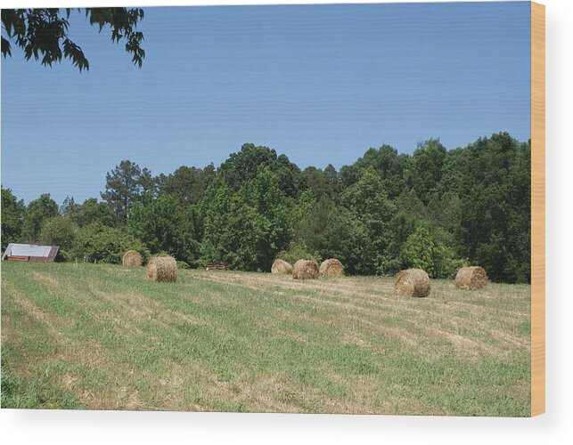North Carolina Wood Print featuring the photograph Hay Harvest #1 by Bill TALICH