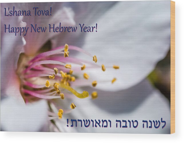 Meir Jacob Wood Print featuring the photograph Hebrew New Year Greetings Card #2 by Meir Jacob