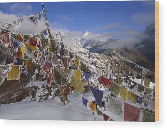 Feb0514 Wood Print featuring the photograph Icy Prayer Flags Himalaya by Colin Monteath