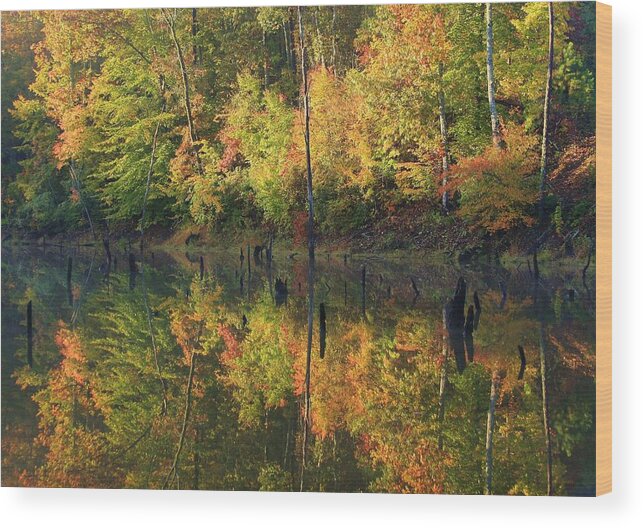 Lake Wedowee Wood Print featuring the photograph Lake Wedowee Alabama #1 by Michael Weeks