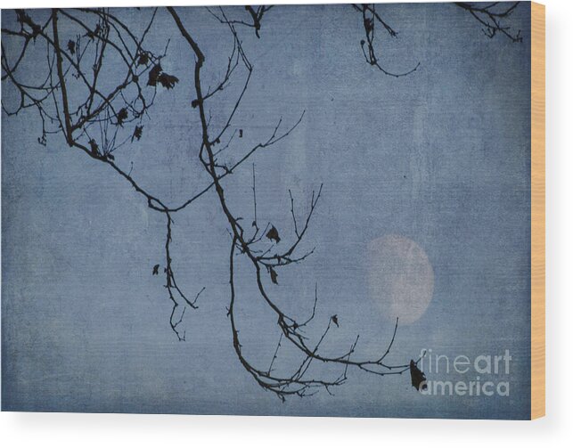 Moon Wood Print featuring the photograph Out On A Limb #1 by Judy Wolinsky