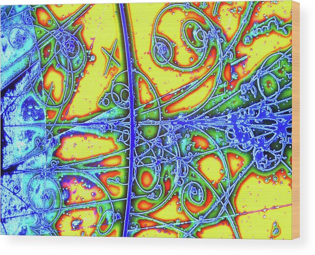 Physics Wood Print featuring the photograph Particle Tracks #1 by Patrice Loiez, Cern/science Photo Library