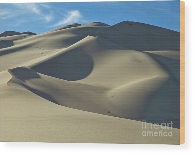 00559255 Wood Print featuring the photograph Sand Dunes In Death Valley by Yva Momatiuk John Eastcott