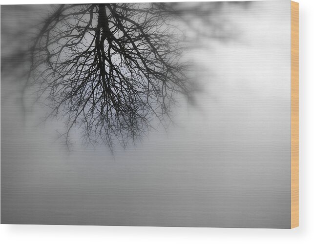 Winter Wood Print featuring the photograph Silhouette Of A Tree #1 by Jolly Van der Velden