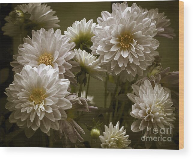 Flowers Wood Print featuring the photograph Spring Flowers #1 by Joe McCormack Jr