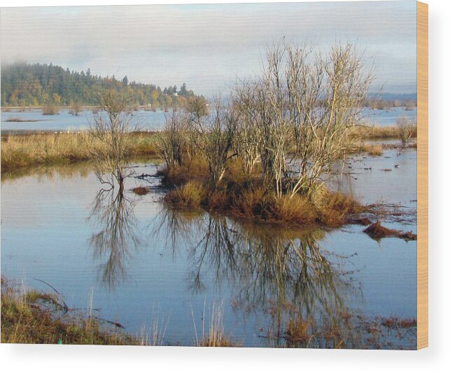 Chief Joseph Leschi Slough Wood Print featuring the photograph Tidal Reflections by I'ina Van Lawick