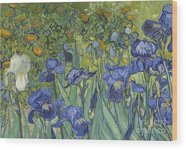 Irises Wood Print featuring the painting Irises, 1889 by Vincent Van Gogh by Vincent Van Gogh