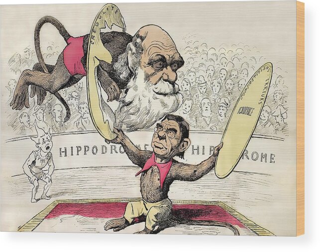 1878 Wood Print featuring the photograph 1878 Darwin As A Circus Monkey By Gill by Paul D Stewart
