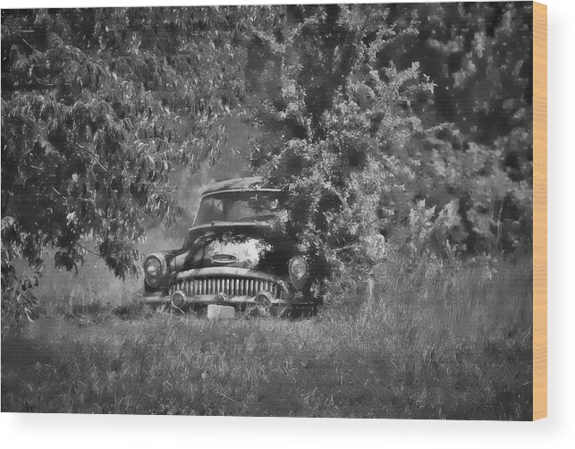 1953 Buick - Field Of Dreams 1 In B/w Wood Print featuring the photograph 1953 Buick - Field of Dreams 1 in b/w by Greg Jackson