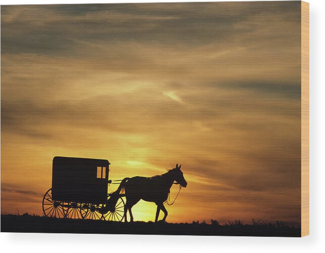 Photography Wood Print featuring the photograph 1980s Amish Horse And Buggy Silhouetted by Vintage Images