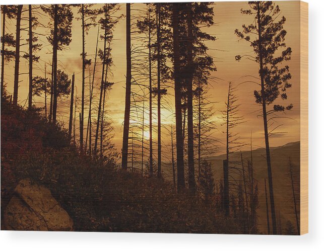 Ron Roberts Photography Wood Print featuring the photograph Early Morning #2 by Ron Roberts