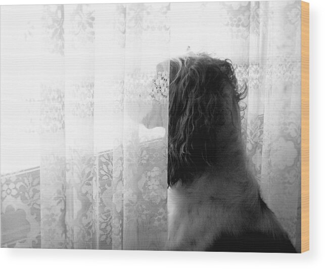 English Springer Spaniel Wood Print featuring the photograph 3 30 by Angie Rea