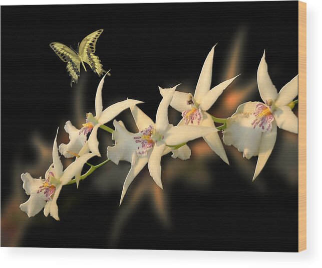 Flowers Wood Print featuring the photograph 3494 by Peter Holme III