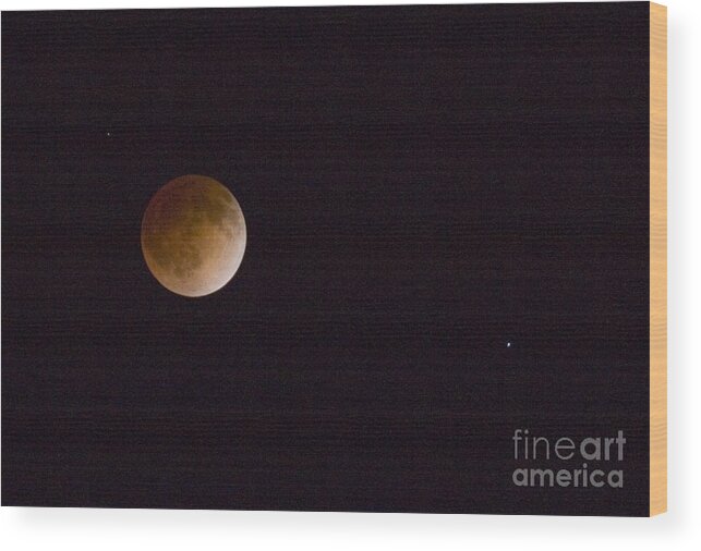 Moon Wood Print featuring the photograph Blood Moon #4 by Steven Krull