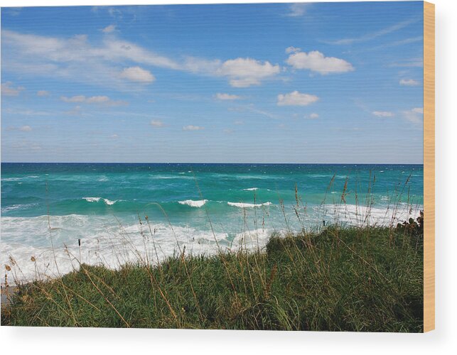 Beach Wood Print featuring the photograph 42- Singer Island Florida by Joseph Keane