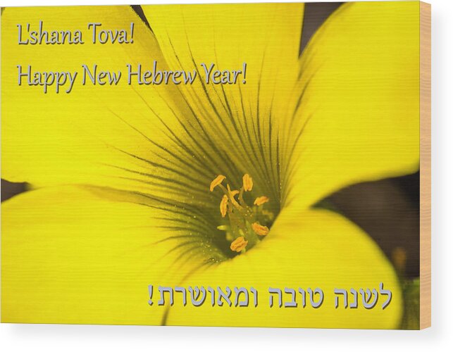 Meir Jacob Wood Print featuring the photograph Hebrew New Year greeting card #5 by Meir Jacob