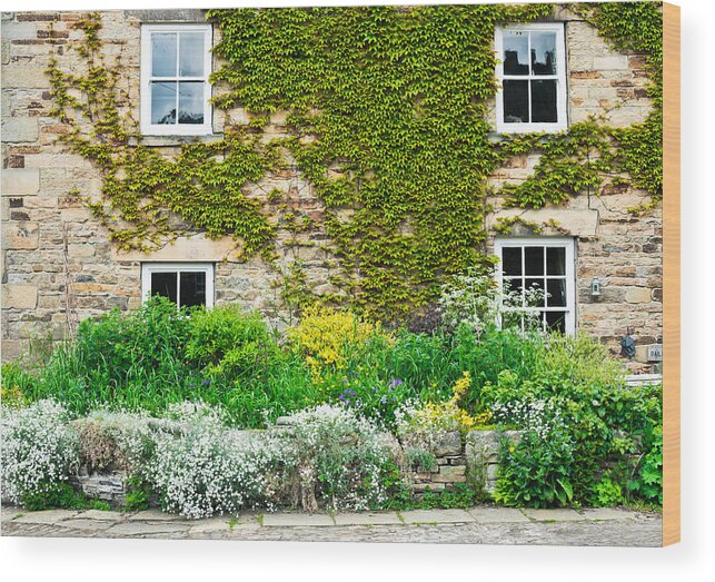 Accommodation Wood Print featuring the photograph Cottage garden #6 by Tom Gowanlock