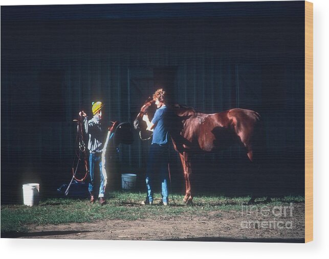 Horse Wood Print featuring the photograph Horse #80 by Marc Bittan