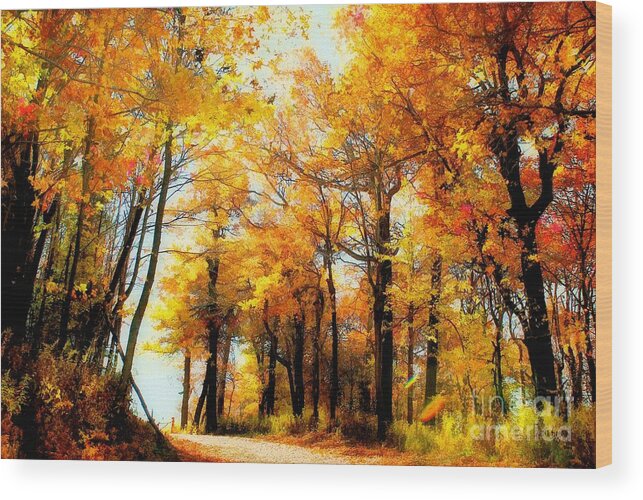 Autumn Leaves Wood Print featuring the photograph A Golden Day by Lois Bryan