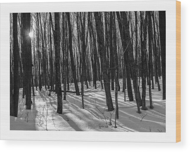 Monochrome Landscape Wood Print featuring the photograph A Long Winter's Day by Dan Hefle