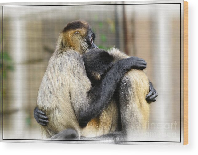 Money Wood Print featuring the photograph A Precious Moment by Elaine Manley