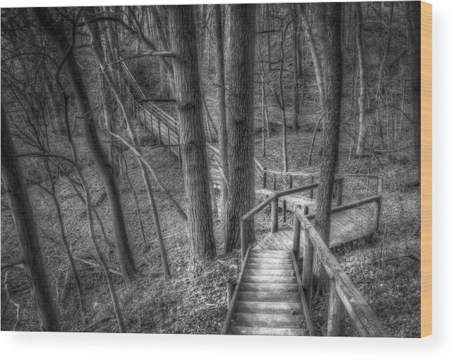 Trees Wood Print featuring the photograph A Walk Through the Woods by Scott Norris